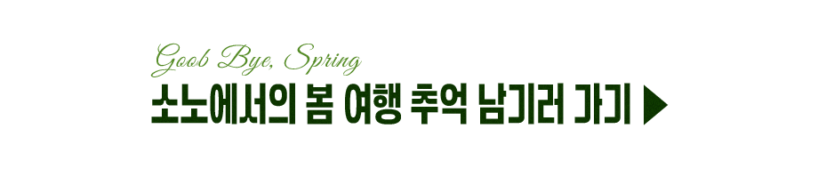 2026 Spring Memories 이벤트 바로가기 