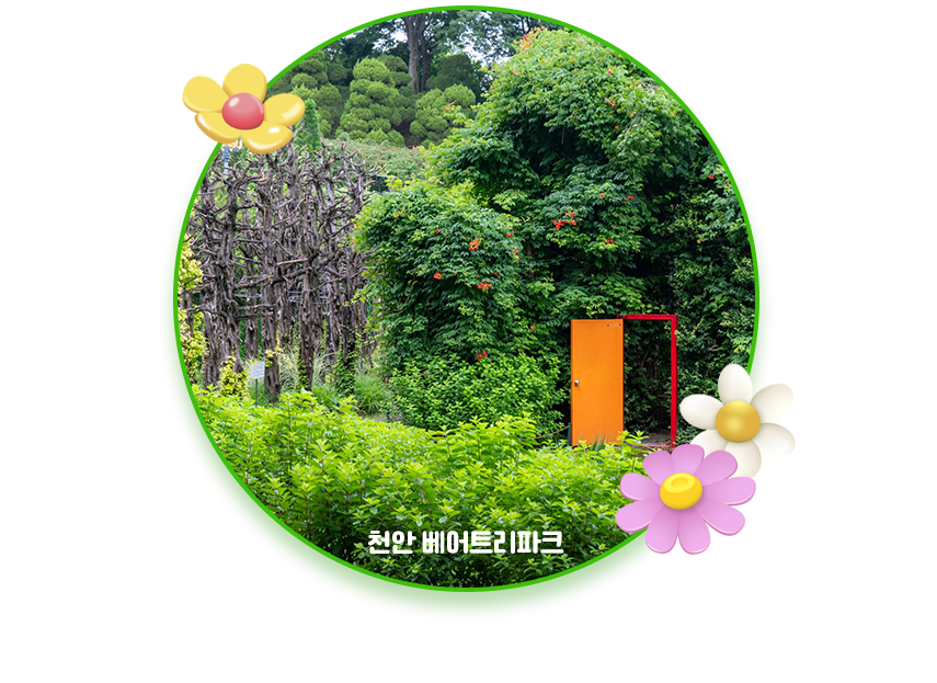천안 베어트리파크