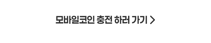 버튼