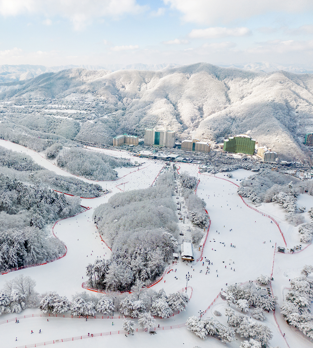 비발디파크_스키_메인3