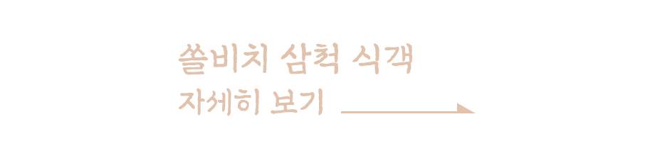 버튼