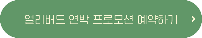 버튼