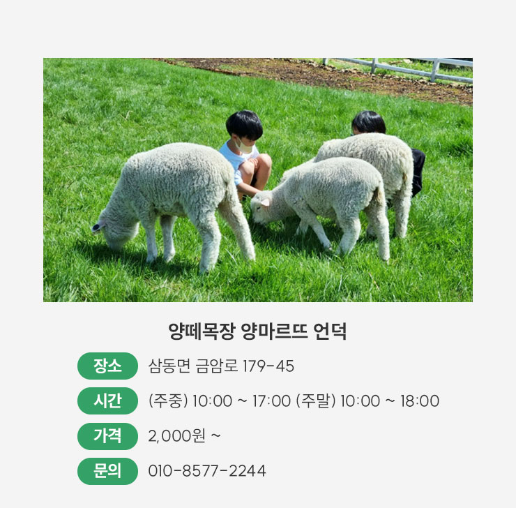 양떼목장