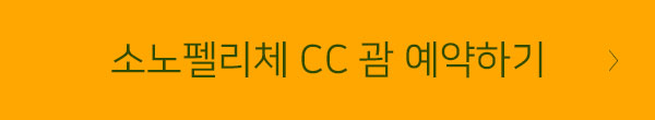 괌CC 버튼