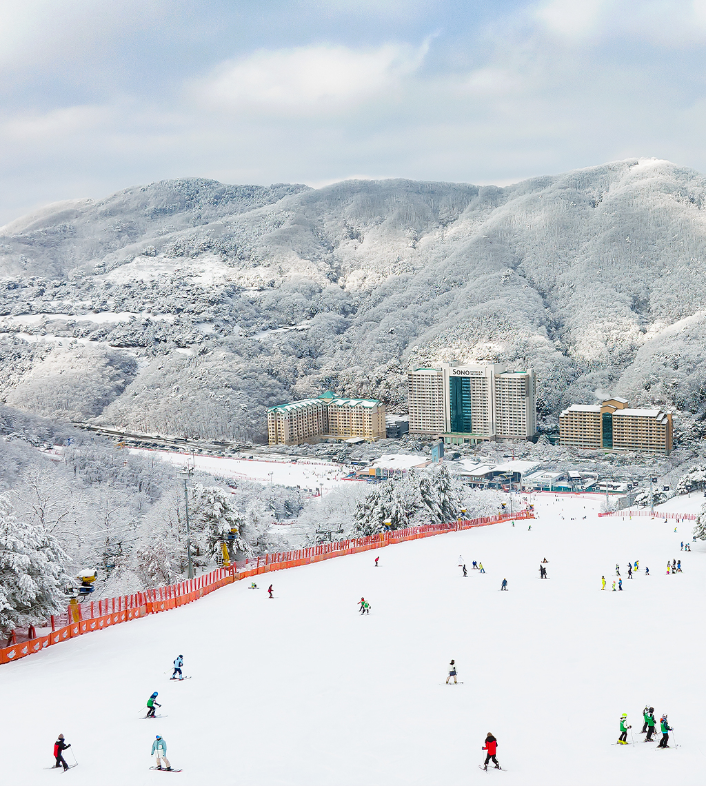 비발디파크_스키_메인1