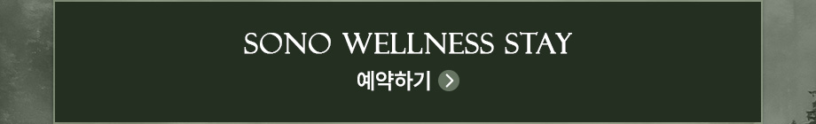 버튼 패키지 소노 웰니스 스테이 pkg