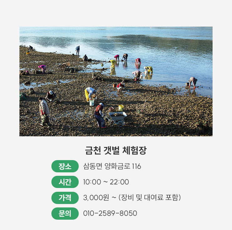 금산갯벌체험장