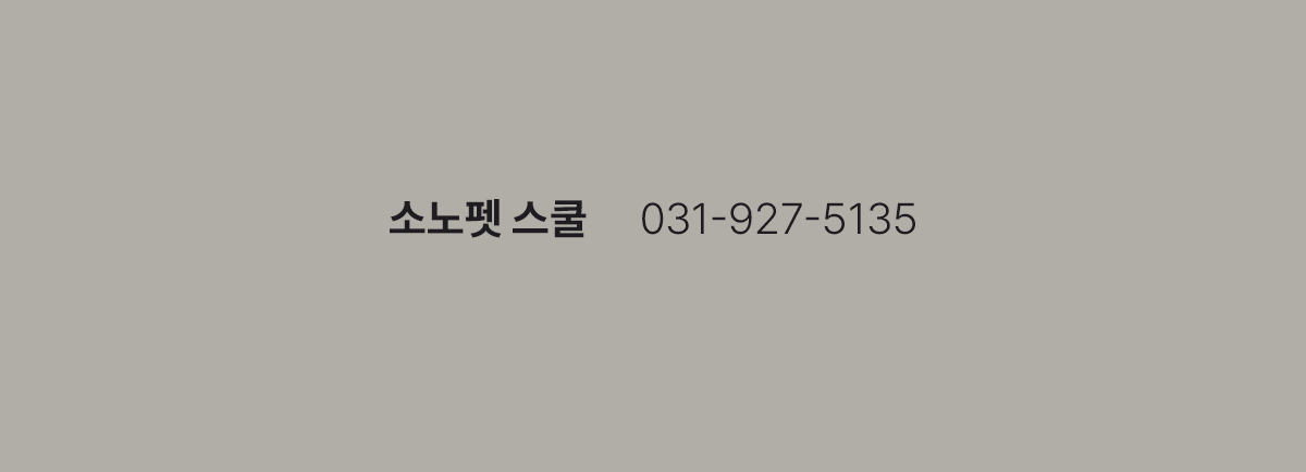 펫,반려동물,강아지,펫스쿨,프로모션,강아지유치원,유치원