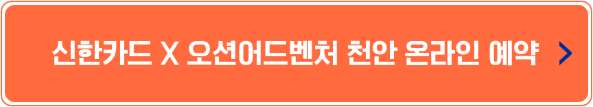 버튼