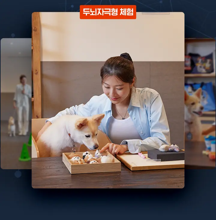 두뇌자극형 체험