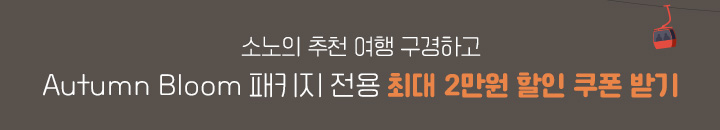 타이틀