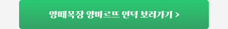 양떼목장 바로가기