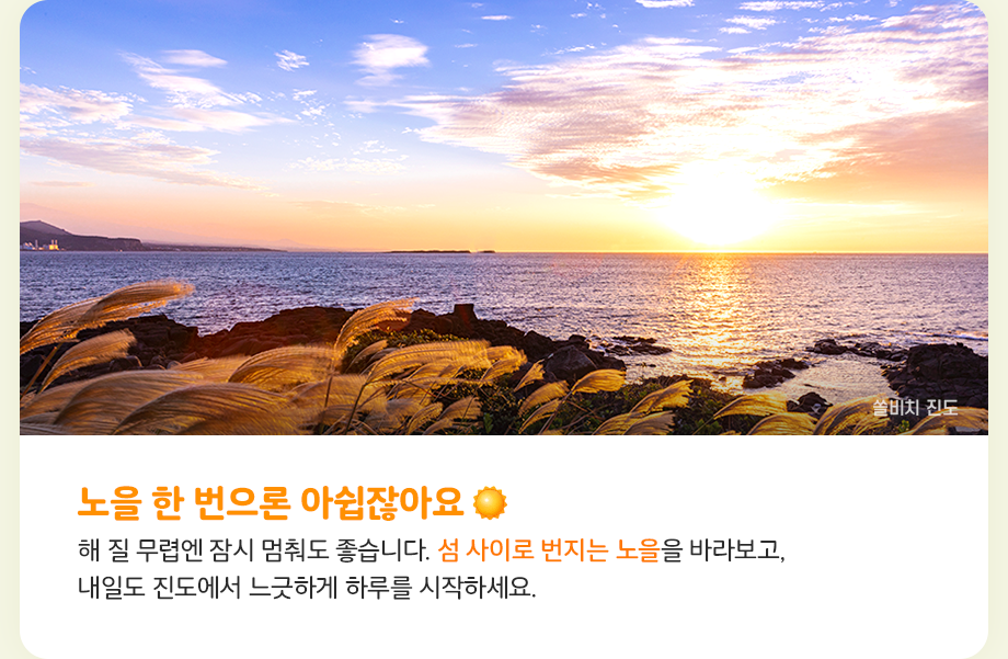 진도