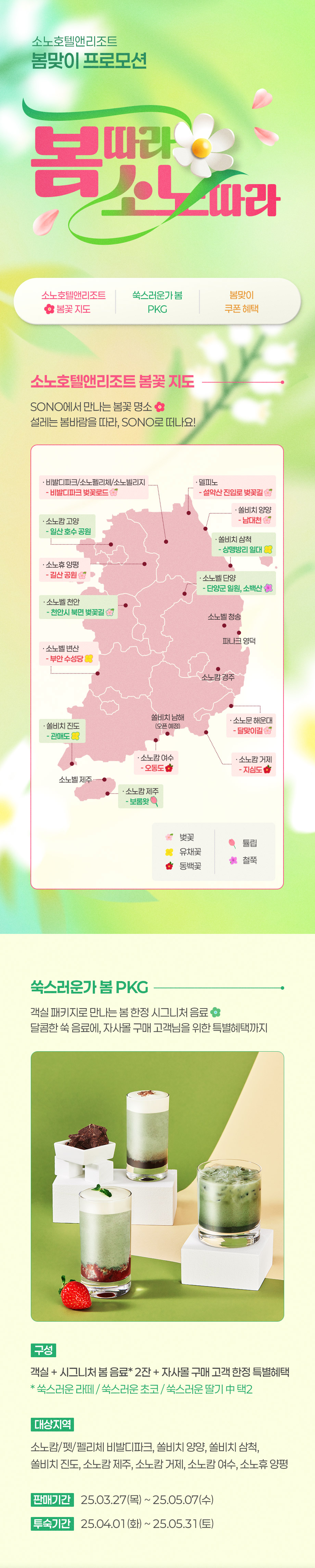 봄맞이 프로모션 봄꽃 지도 쑥스러운가 봄 패키지 쿠폰 혜택 벚꽃 유채꽃 동백꽃 명소 봄꽃 축제 쑥스러운 라떼 초코 딸기 음료 spring map festival discount sale coupon
