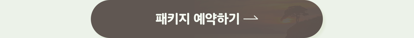 패키지 예약하기