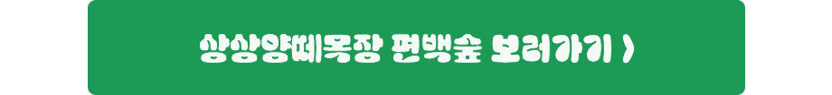 상상양떼목장 편백숲 보러가기
