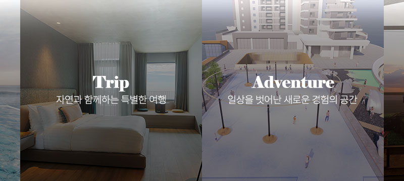 이미지이미지
