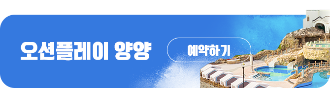 양양