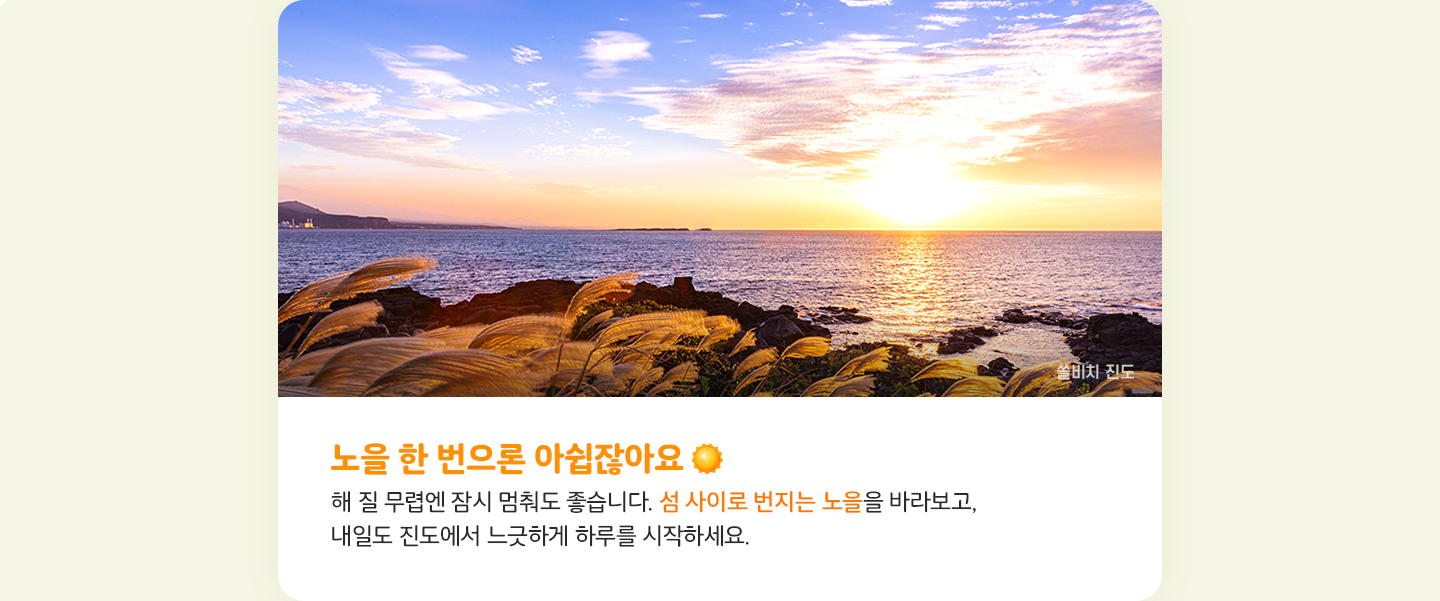 진도