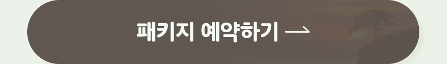 패키지 예약하기