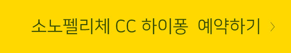 하이퐁CC 버튼