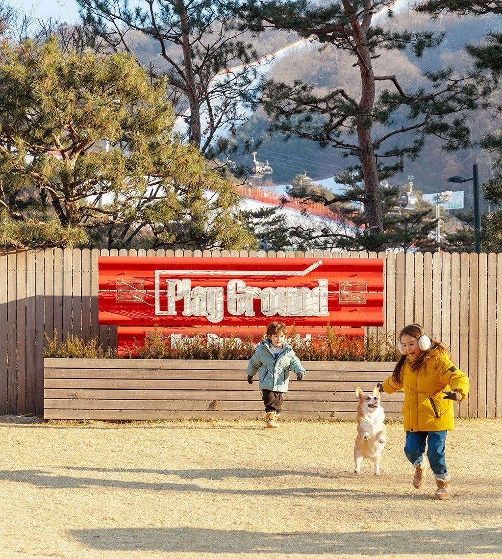 소노펫_비발디파크_플레이그라운드_03.jpg