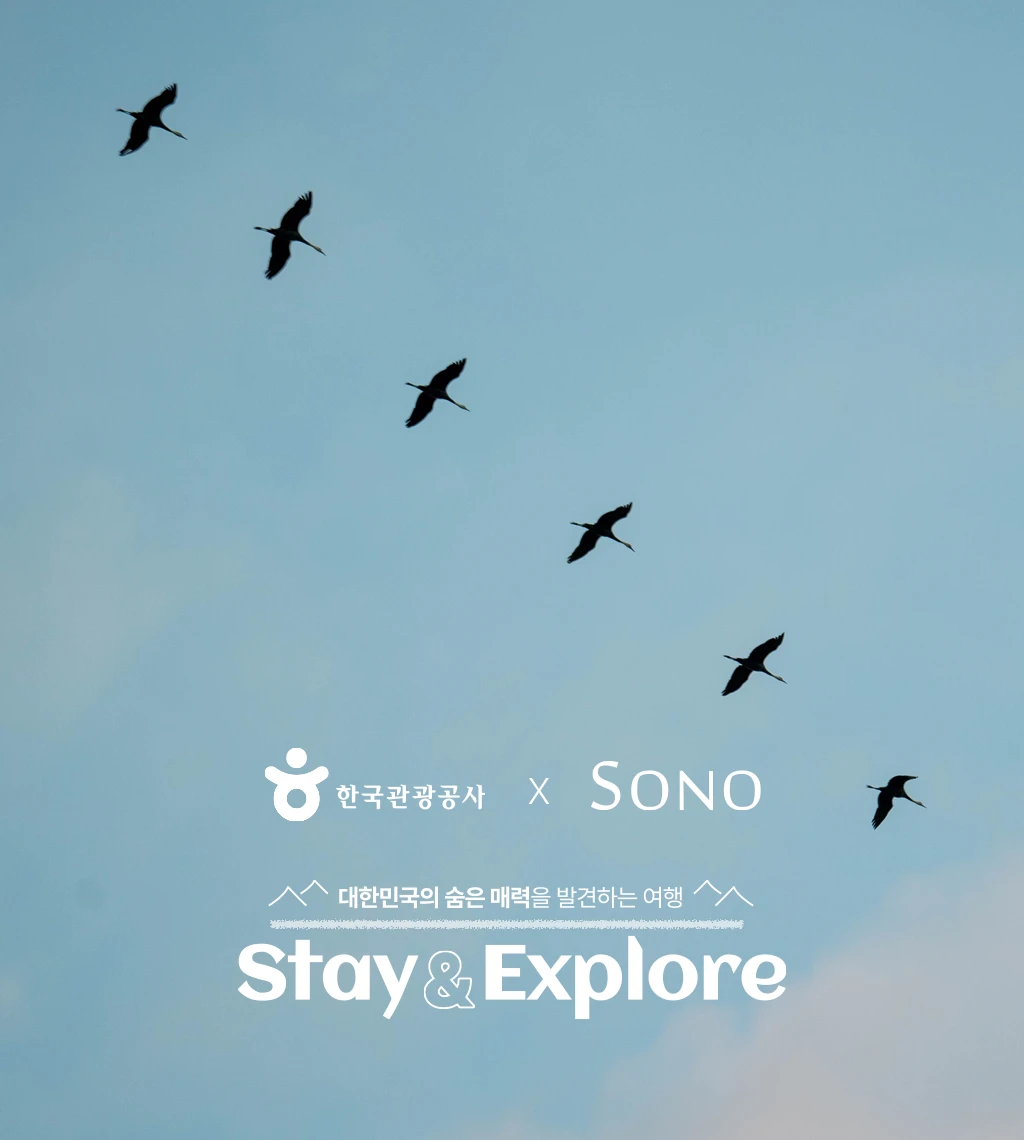 여수 흑두루미 썸네일2.webp