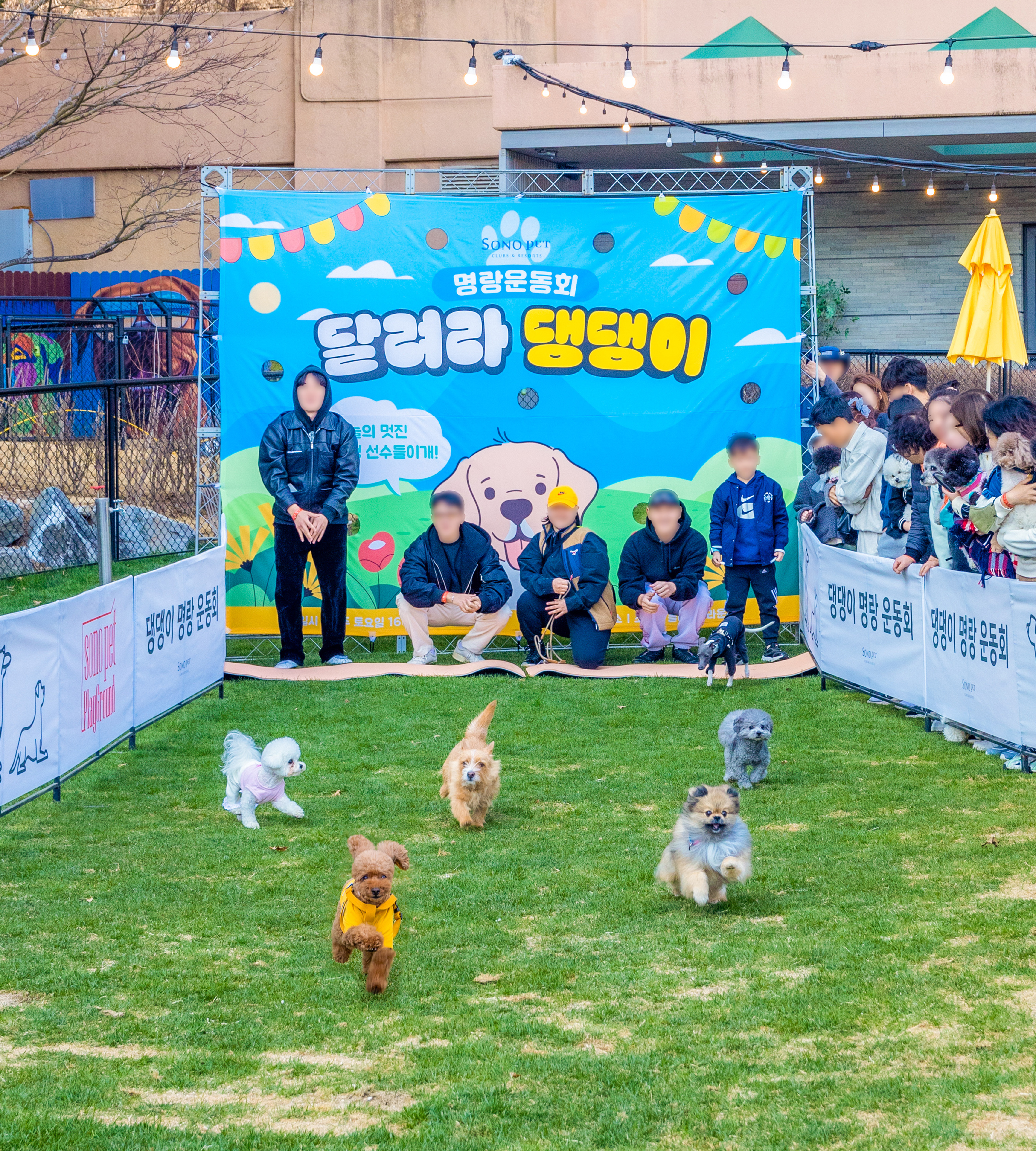 명랑운동회.jpg