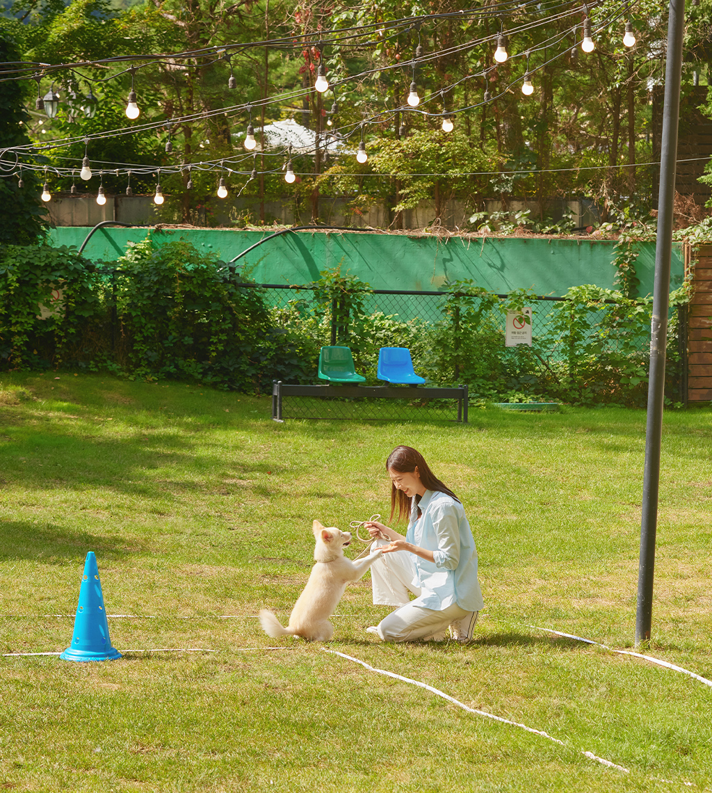 소노펫매너독.jpg