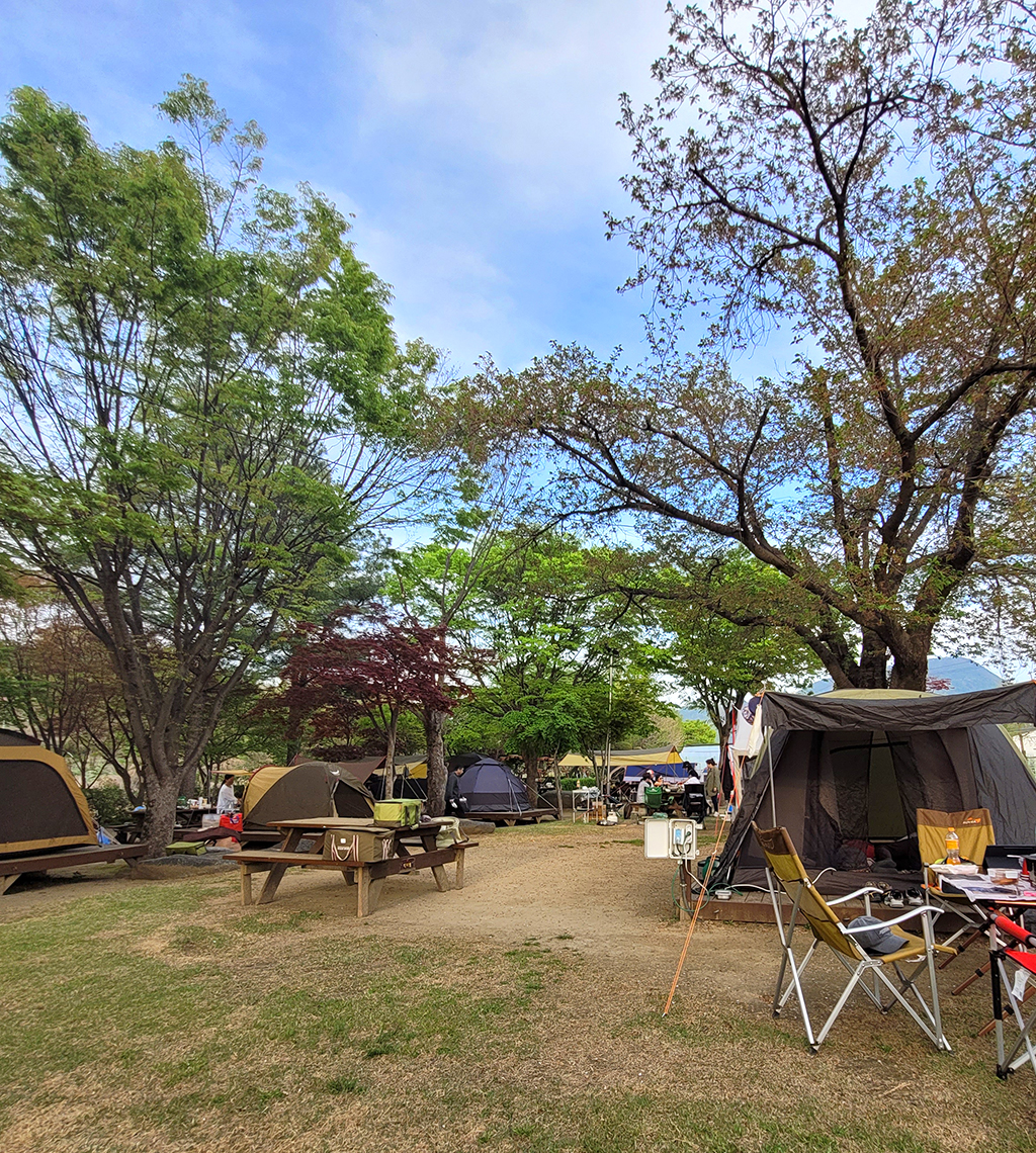 양평_캠핑장_.jpg