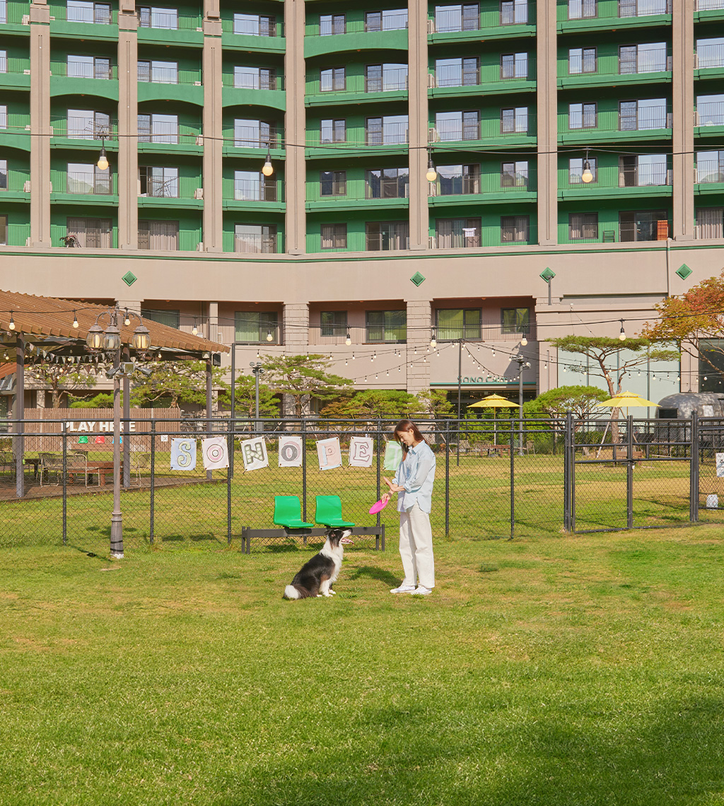 펫플레이그라운드.jpg