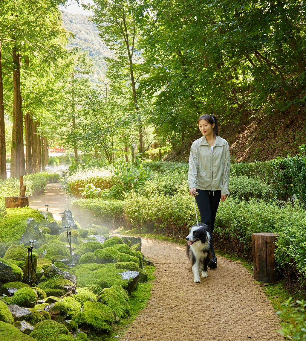 이벤트 메인 이미지