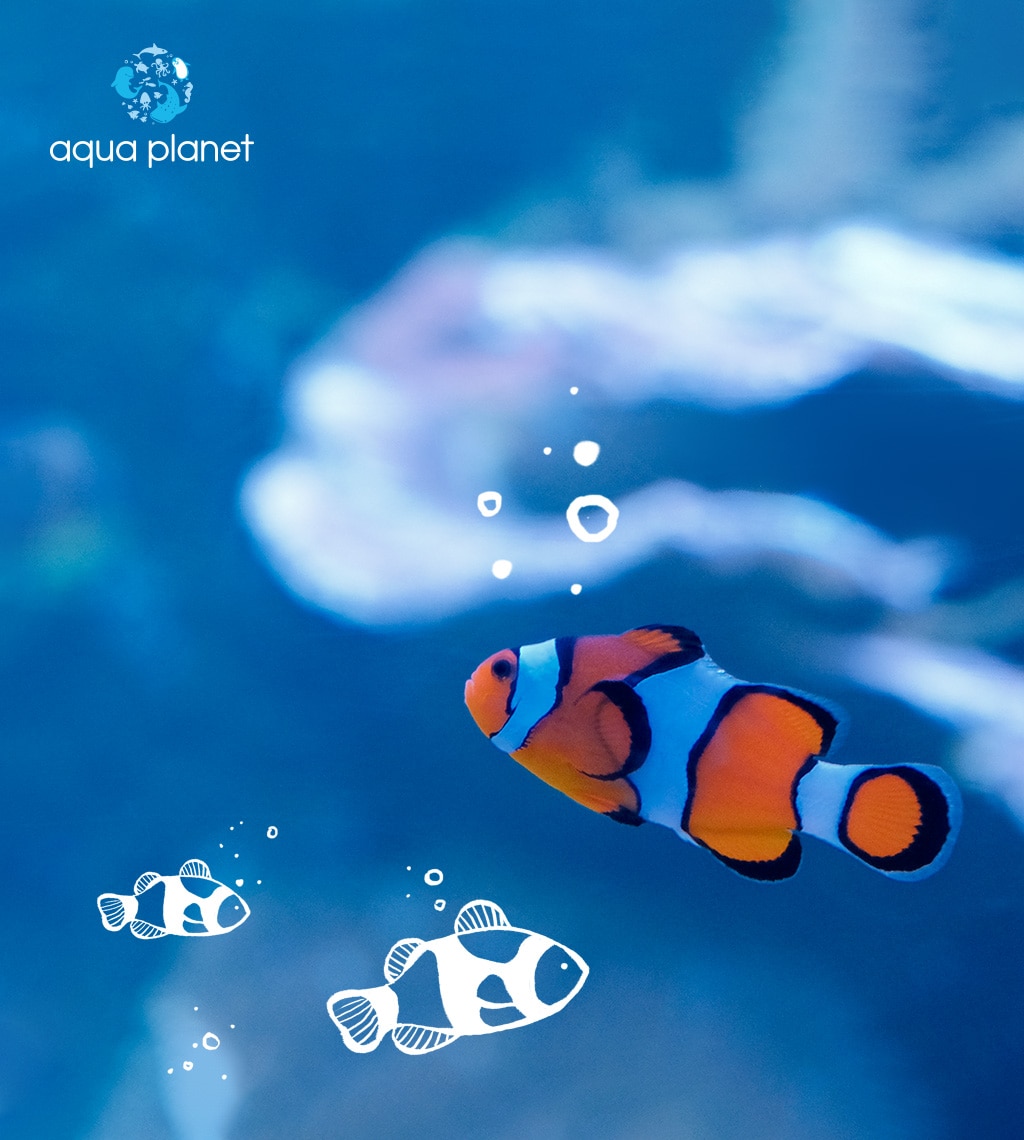 이벤트 메인 이미지