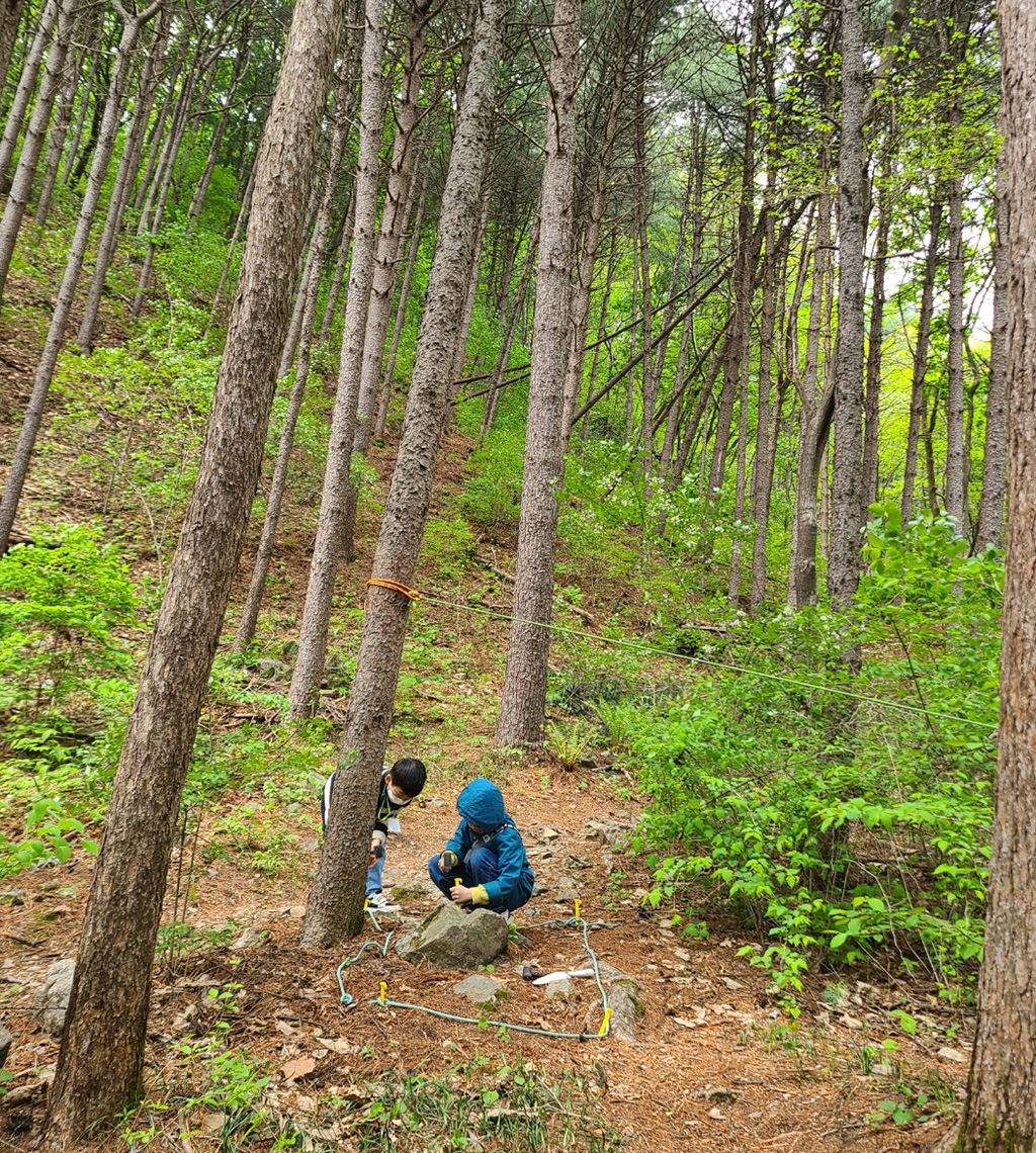 비발디파크_두릉산_숲체험_세로.jpg
