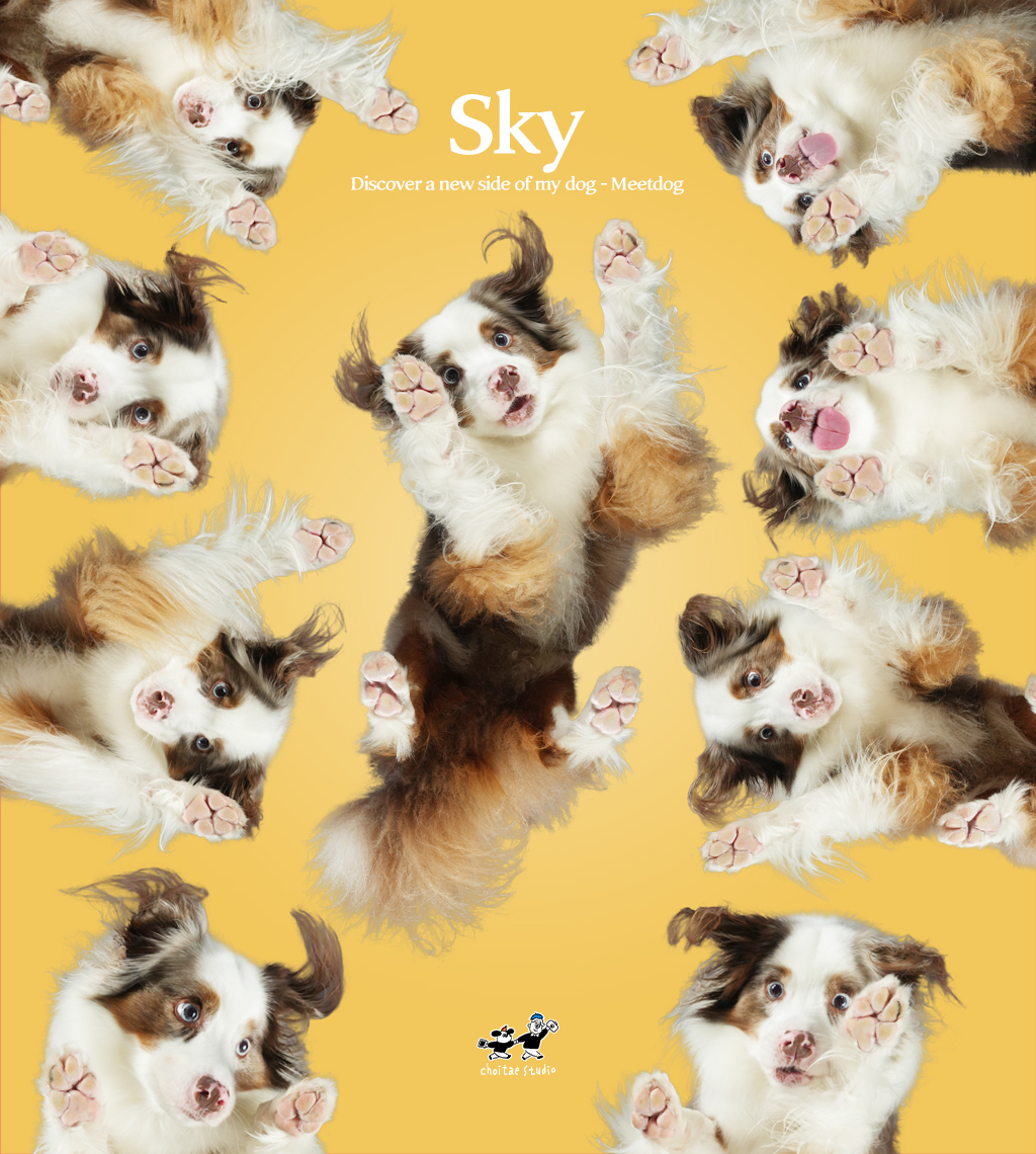 스카이 밑독 플러스 (2).jpg