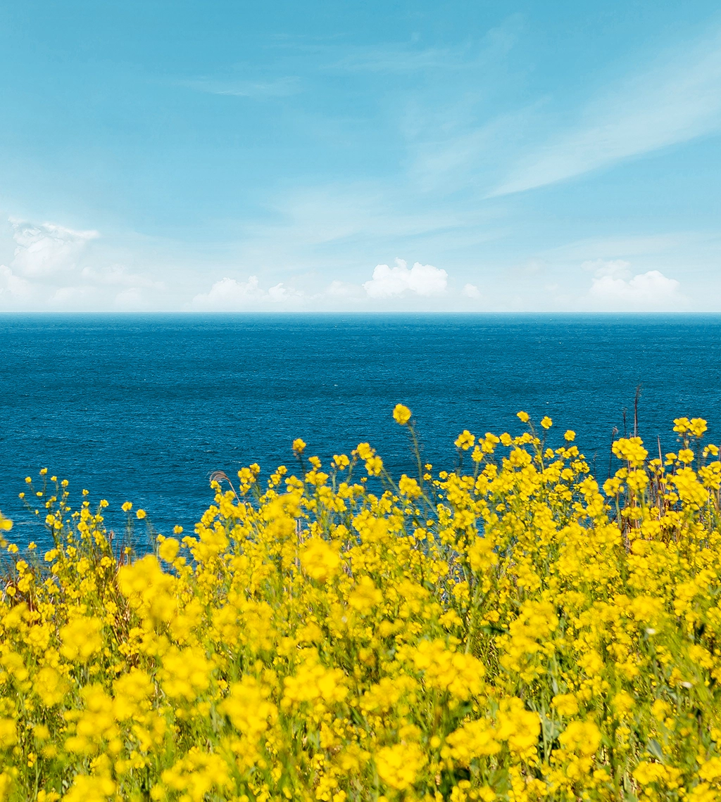 이벤트 메인 이미지