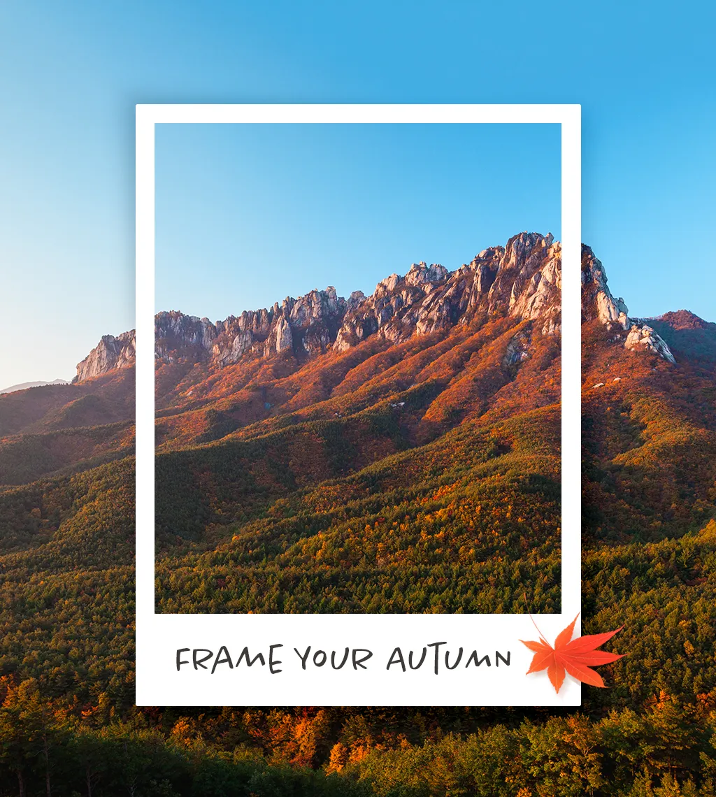 Frame Your Autumn_썸네일_w.webp