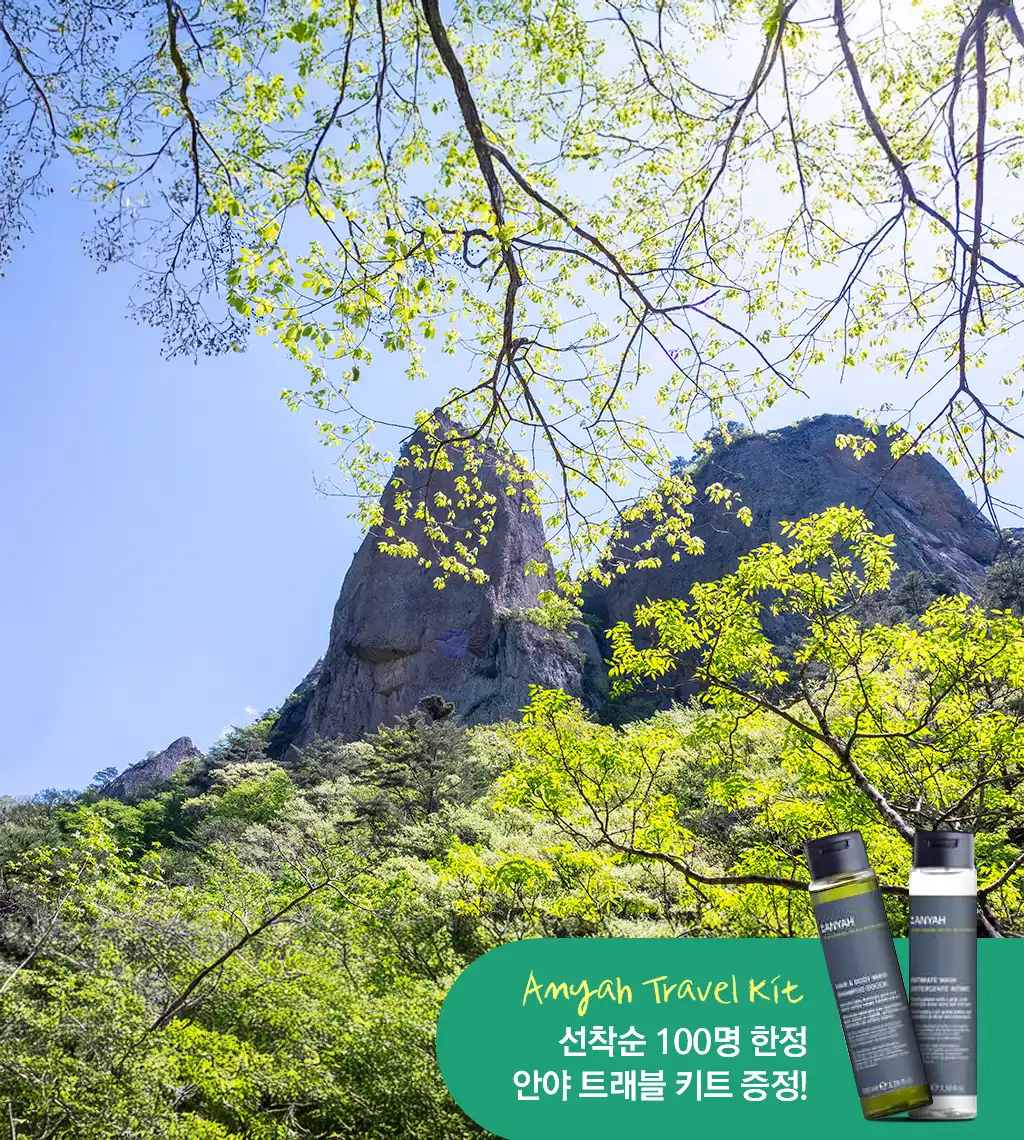 주왕산 썸네일.webp