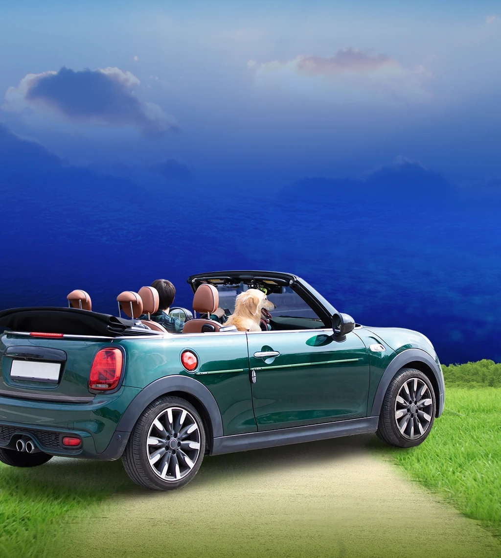 이벤트 메인 이미지