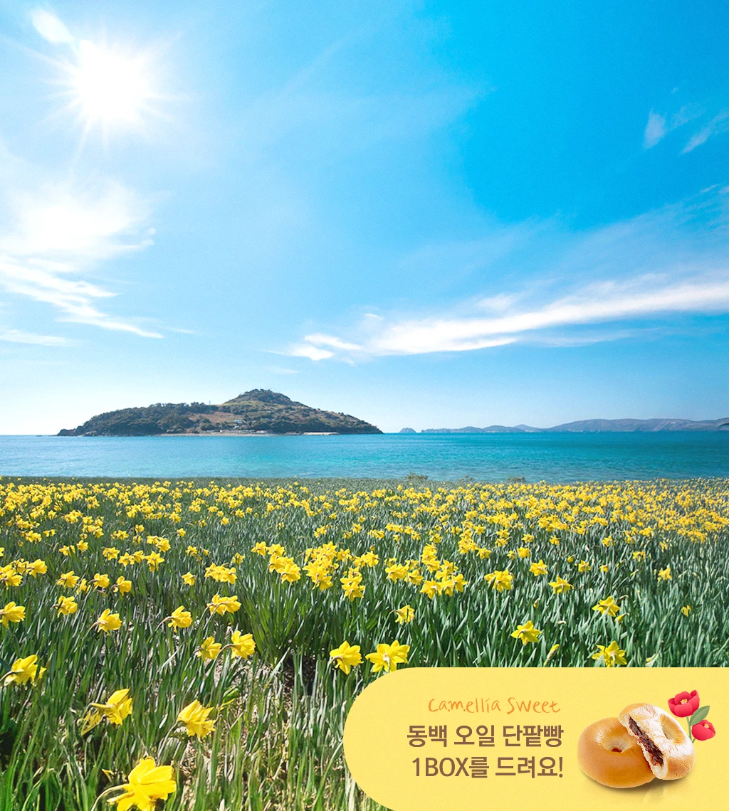 Geoje Camellia Sweet Stay 패키지.webp