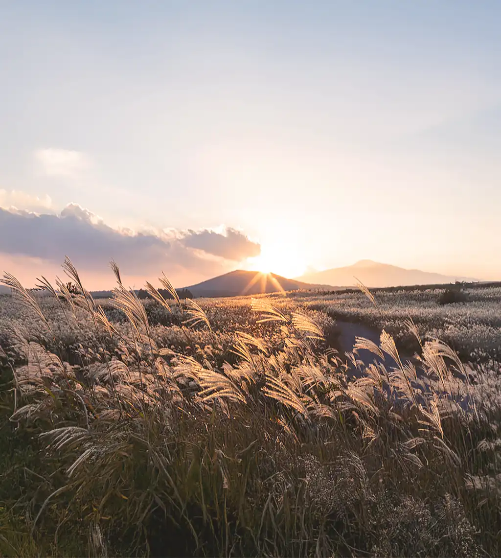 fall in morning_ 썸네일.webp