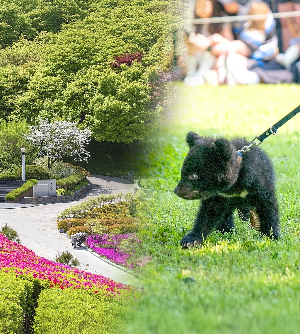 베어트리 파크 썸네일2.webp