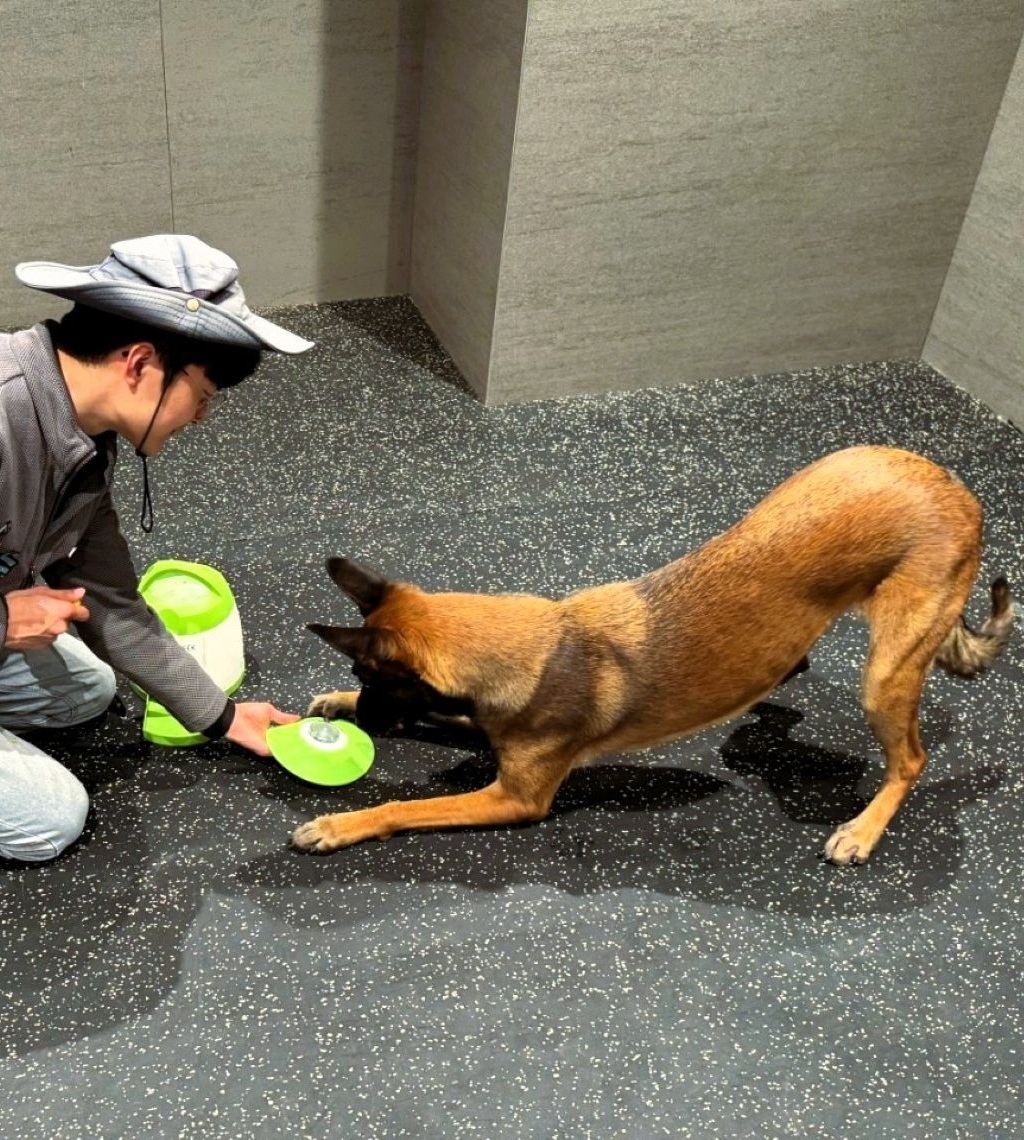 테라_믹스 피앤지.jpg