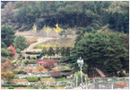 삼밭공원(야생화생태공원)